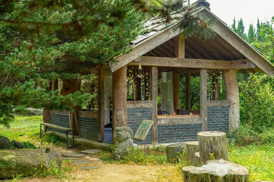 구례_천개의향나무숲 (7)