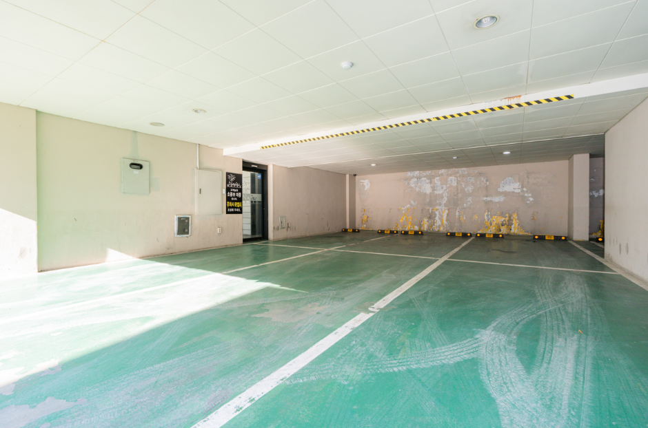 수원_모텔나무 (2)