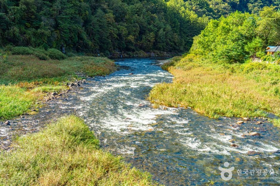 thumbnail-수입천-9