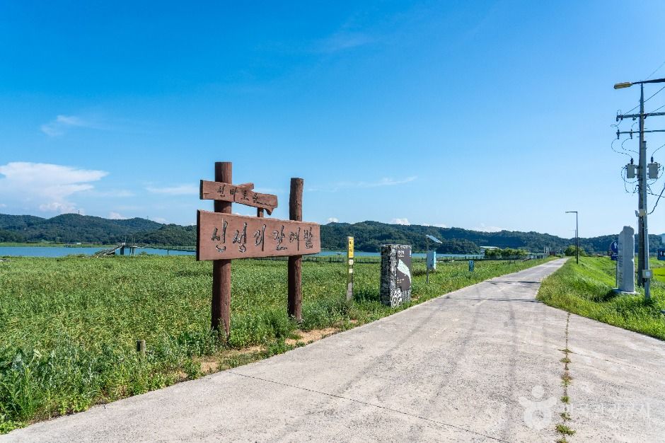 서천_금강2경 도보여행길 (6)