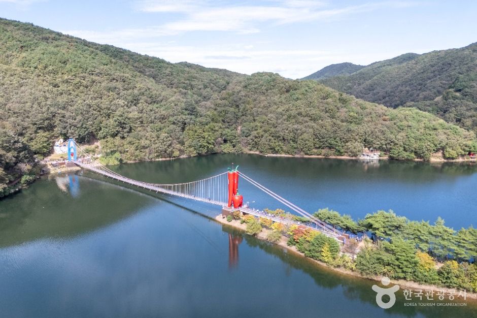 천장호 출렁다리