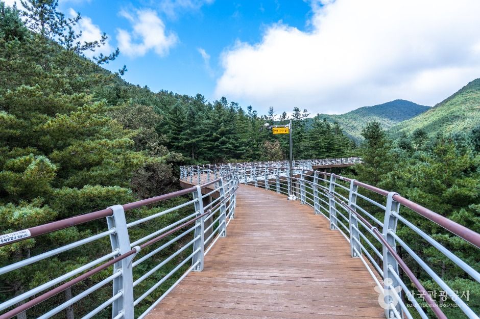 보령 무궁화수목원