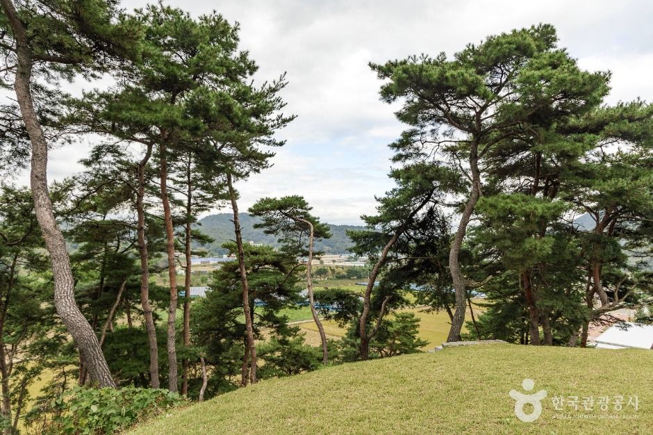 괴산 칠충사와 피세정