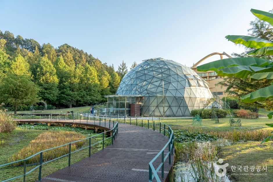 개구리생태공원