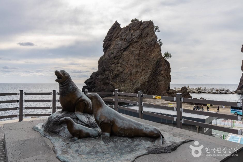 거북바위 및 향나무 자생지 (울릉도, 독도 국가지질공원)