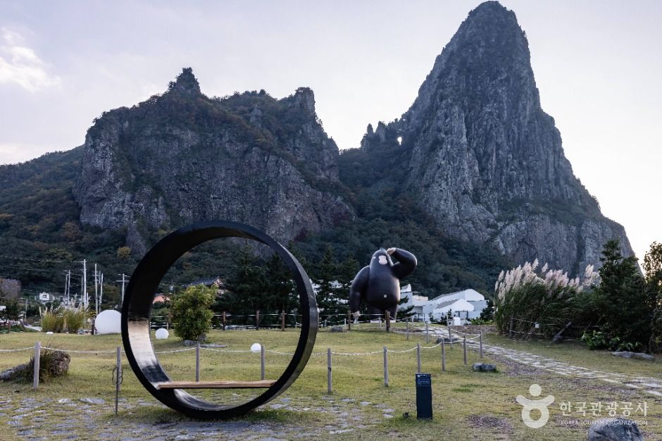 울릉_코스모스 울릉도 (11)