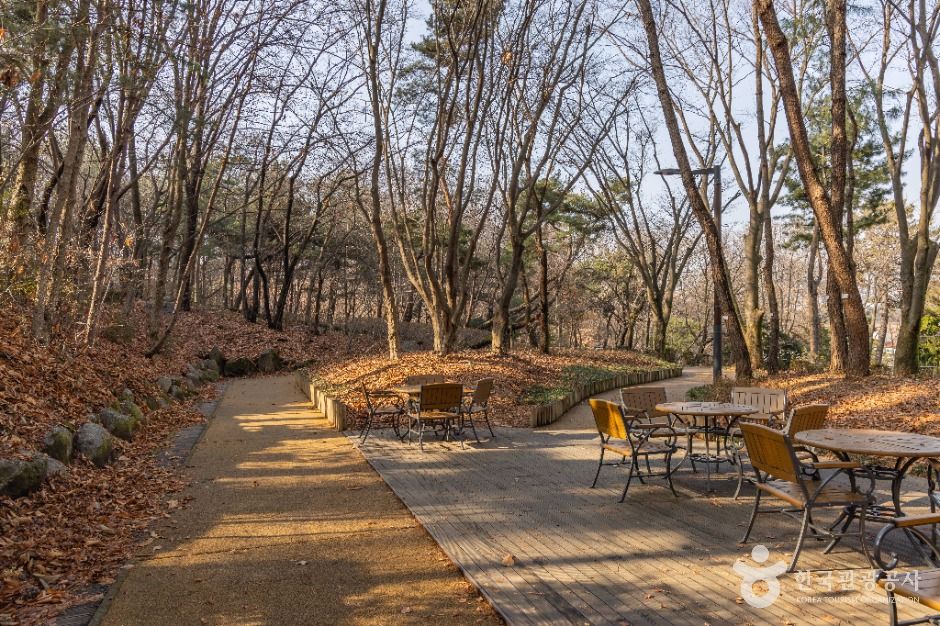 대모산도시자연공원