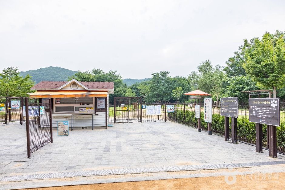 인천_인천대공원 반려동물 놀이터 (8)