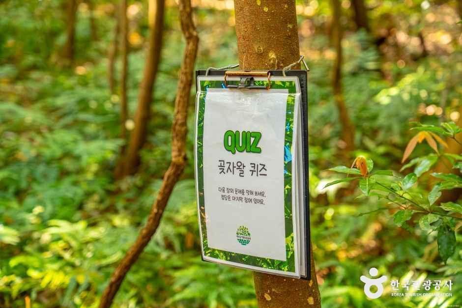 thumbnail-제주곶자왈도립공원-3