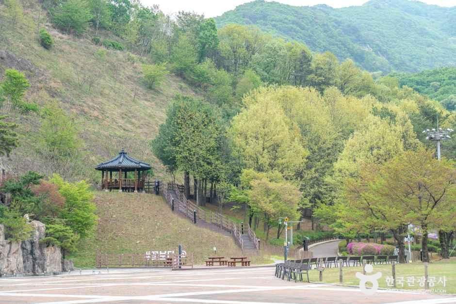 thumbnail-병목안 시민공원-11