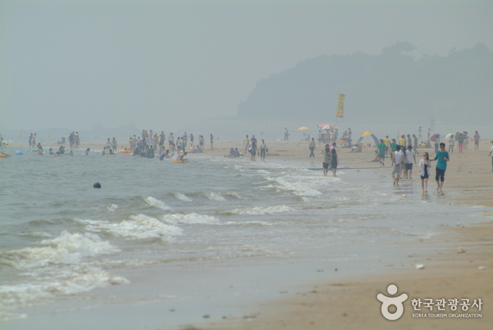 Daecheon Beach (대천해수욕장)