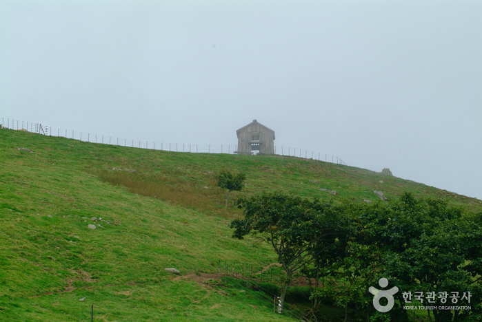 Daegwallyeong Sheep Farm (대관령 양떼목장)