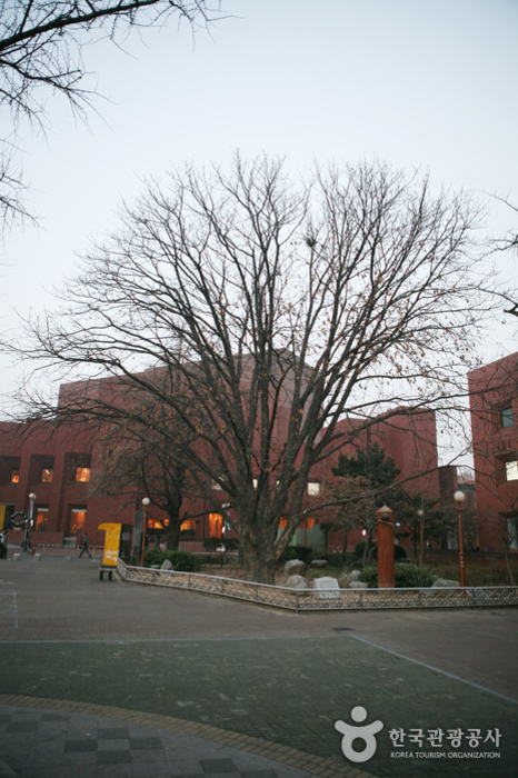 Marronnier Park (마로니에공원)