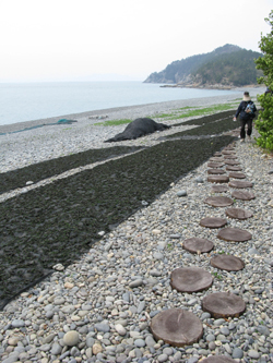 ±¸°èµî °¹µ¹Çغ¯ Àü°æ_Çѱ¹°ü±¤°ø»ç