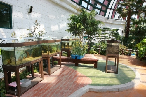 Schmetterlingspark Namhae (남해 나비생태공원)