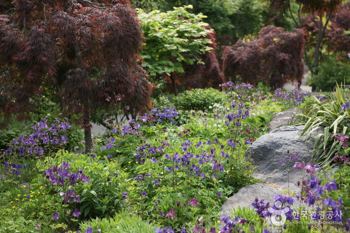 Hantaek Botanical Garden (한택식물원)