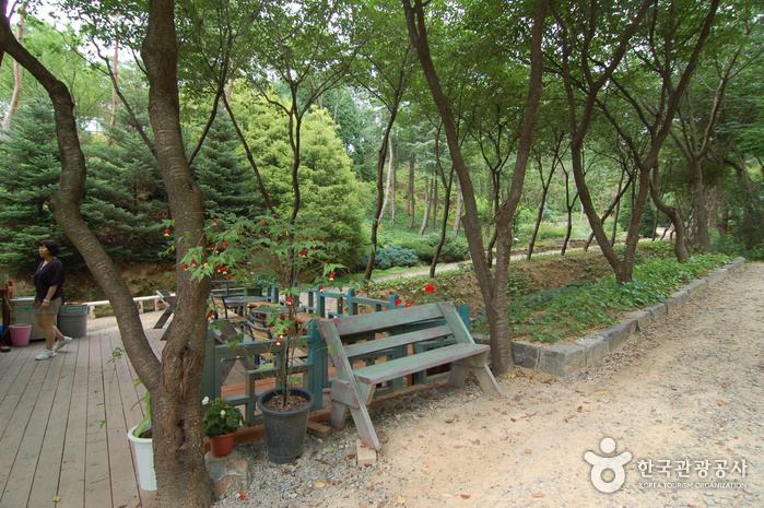 Hantaek Botanical Garden (한택식물원)