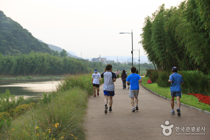 Taehwagang Grand Park (태화강 대공원)