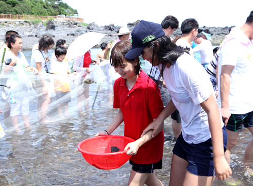 환경사랑 쇠소깍 검은모래축제 2014