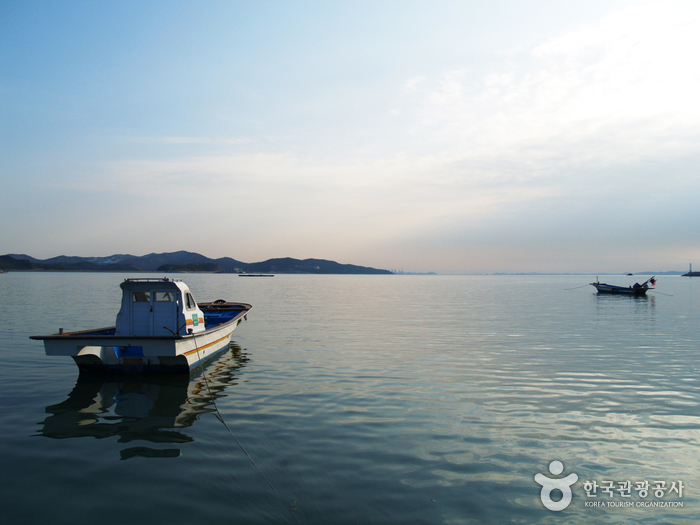 해산물의 천국 남당리항 풍경