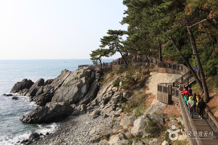Haeundae Dongbaekseom Island (해운대 동백섬)