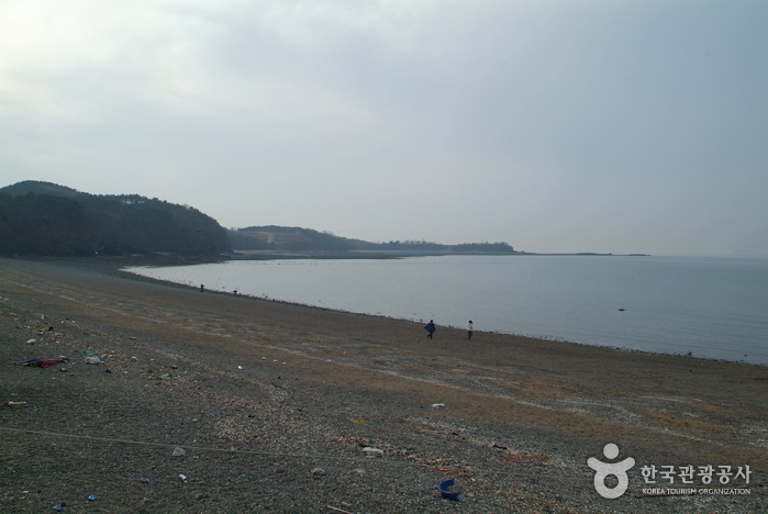 서어나무(소사나무)군락지0