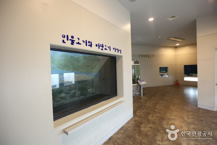 Süßwasser-Ökologiezentrum Dongang (평창동강민물고기생태관)
