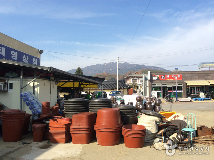 Anuijang Market (5th & 10th Day Market) (안의장 (5, 10일))