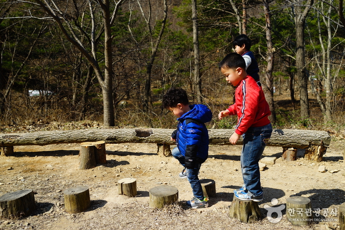 용현자연휴양림에서 자연학습 중인 아이들