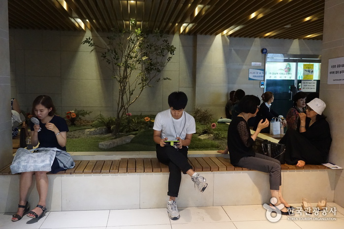 Centro Comercial Subterráneo de la Estación de Gangnam (강남역 지하도상가)