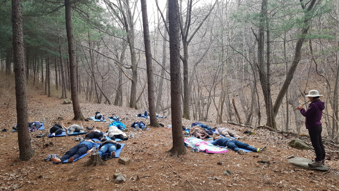 몸과 마음을 내려놓고 산림 치유 프로그램에 참여하는 사람들