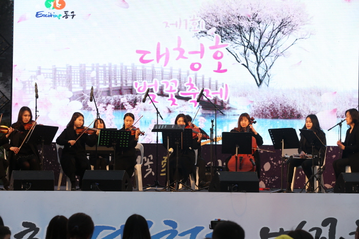 대청호 벚꽃축제3