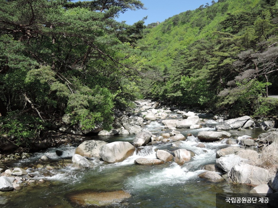 Gayasan National Park (Hongnyu-dong, Cheongnyang-dong Area) (가야산국립공원(홍류동,청량동지구))