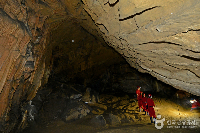 백룡동굴 (강원고생대 국가지질공원)