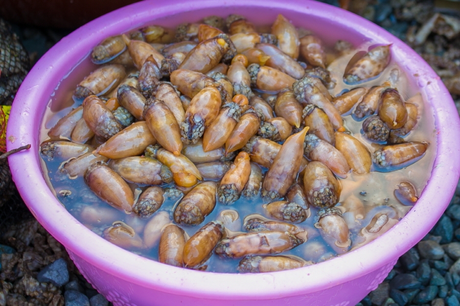 온라인 창원진동 미더덕축제2