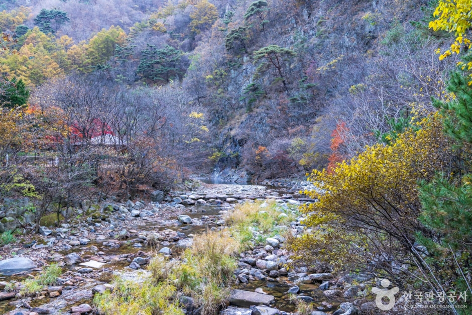 Namcheongyegok Valley (남천계곡)