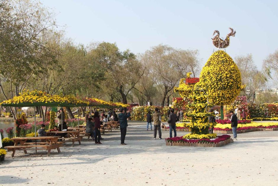 백제고도부여국화축제