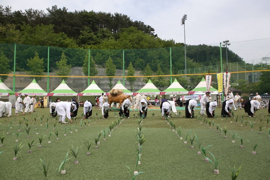 양산웅상회야제