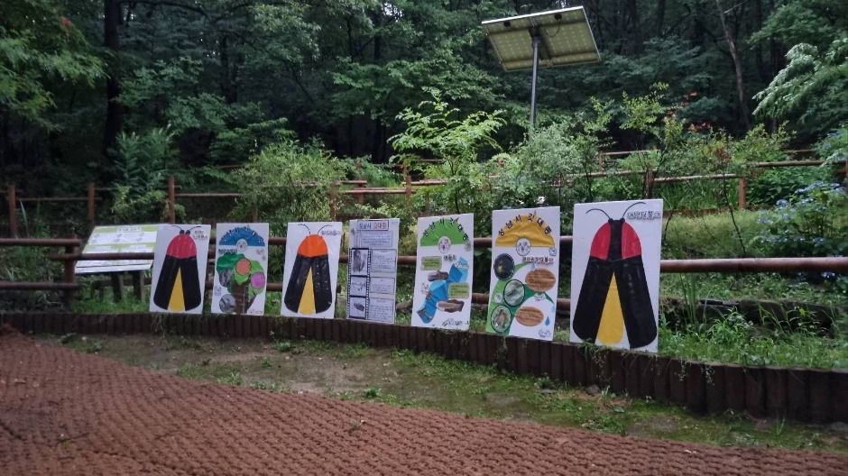 맹산반딧불이자연학교