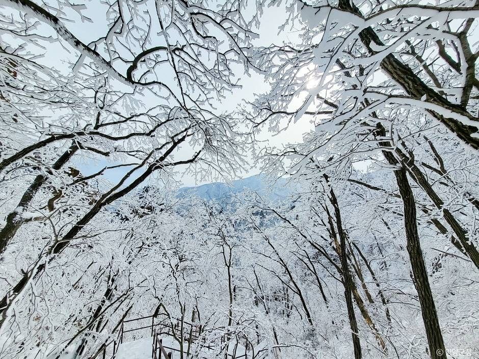 설악산 흘림골