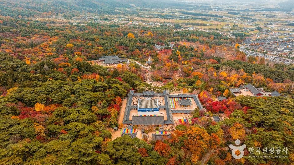 경주 불국사 [유네스코 세계유산]