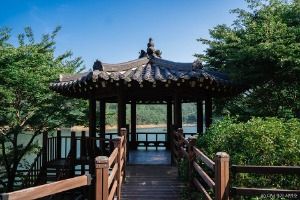 보성 가볼만한곳 보성 여름방학 가족 여행_제암산자연휴양림_1-8