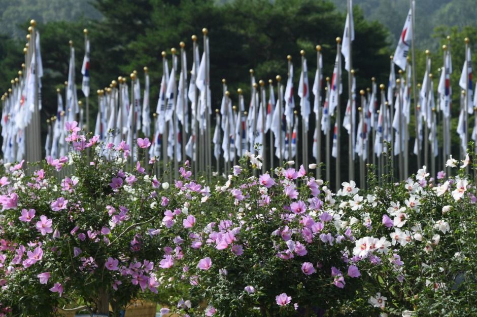 광복 80주년 기념 나라꽃 무궁화 대축제