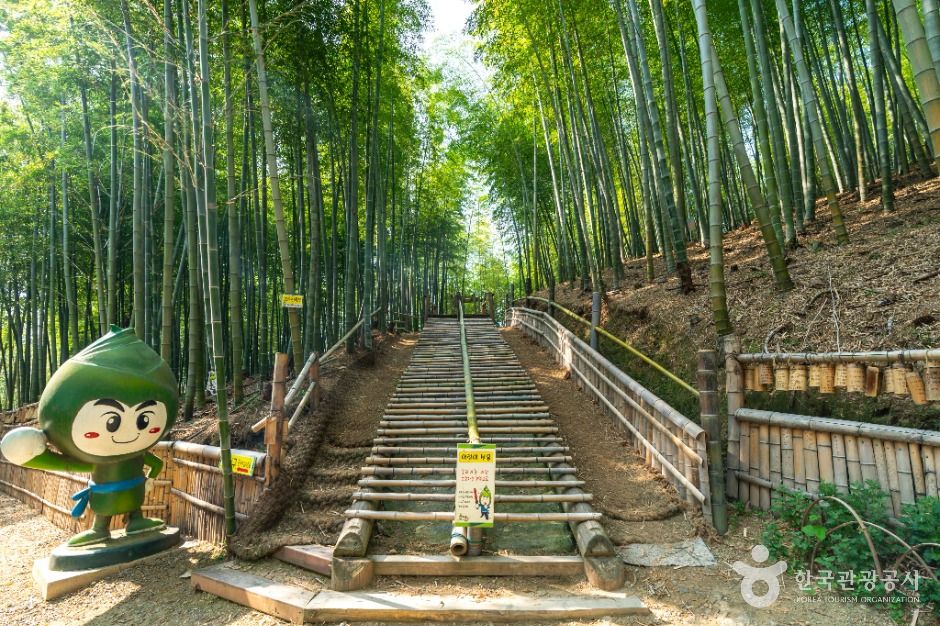 거제맹종죽테마공원