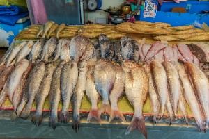사천_삼천포용궁수산시장 (5)