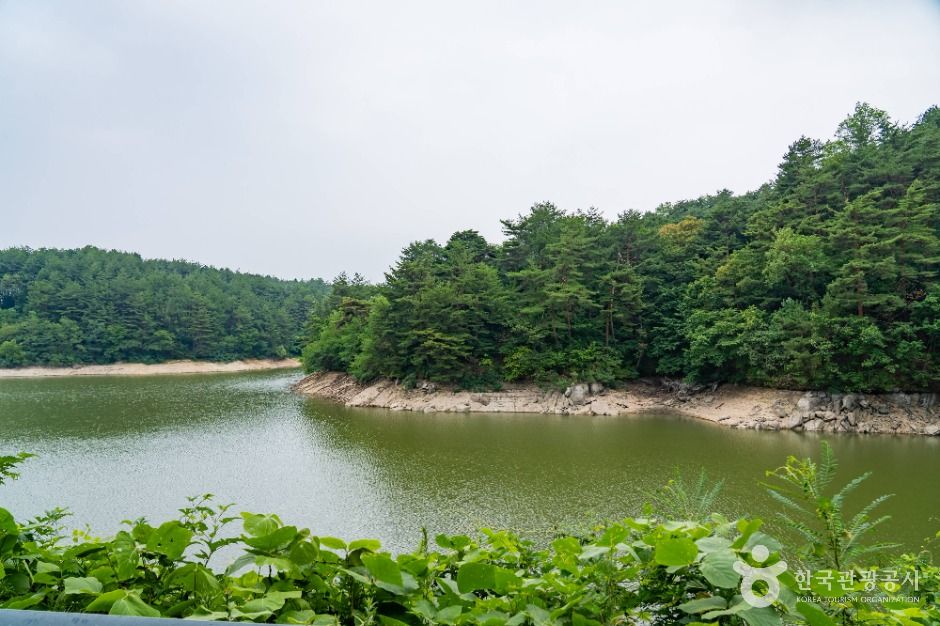 강릉_죽헌저수지 (8)
