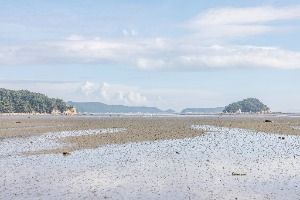 인천_용유도해변 (3)