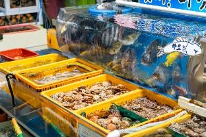 여수_여수수산물특화시장 (4)