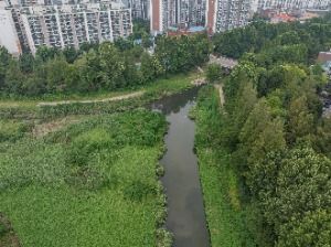 인천_굴포천 생태하천 (5)