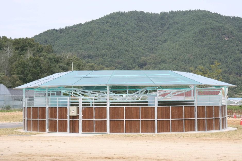 구미_구미시승마장 (10)